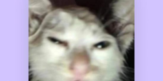 Imagem do grupo de WhatsApp Figurinhas e meme 🔞