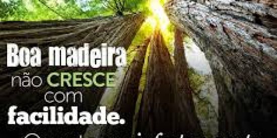 Imagem do grupo de WhatsApp 🔰VOCÊ CONHECE A BÍBLIA❓