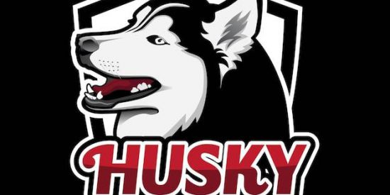 Imagem do grupo de WhatsApp Husky's Moc 🐺