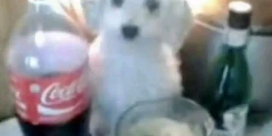 Imagem do grupo de WhatsApp 🅢🅗🅘🅣🅟🅞🅢🅣