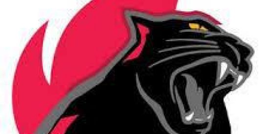 Imagem do grupo de WhatsApp Betfiery 🤑