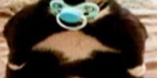 Imagem do grupo de WhatsApp Cringe