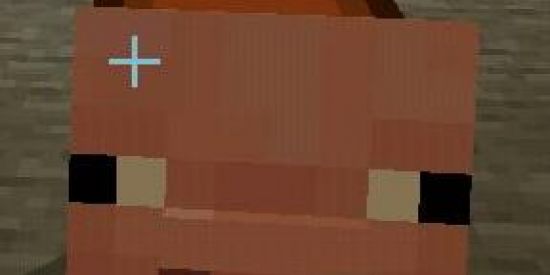 Imagem do grupo de WhatsApp Minecraft👨‍🦽