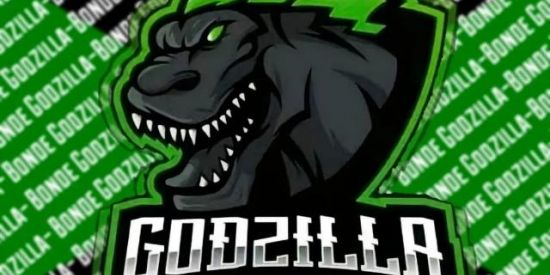 Imagem do grupo de WhatsApp Recrutamento Gdz 💚