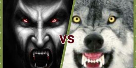 Imagem do grupo de WhatsApp RECEPÇÃO 🧛🏼🐺