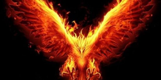 Imagem do grupo de WhatsApp TORNEIO FENIX