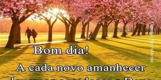 Imagem do grupo de WhatsApp Eu quero um amor