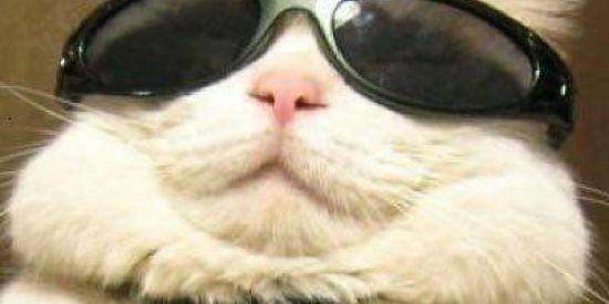 Imagem do grupo de WhatsApp Os malucos da internet 2🧐