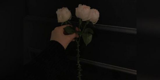 Imagem do grupo de WhatsApp Amiguinhos e Webnamoro✨🖤