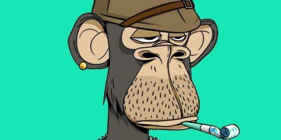 Imagem do grupo de WhatsApp NFT