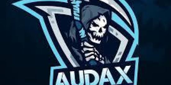 Imagem do grupo de WhatsApp AUDAX TEAM RECRUTANDO🎭