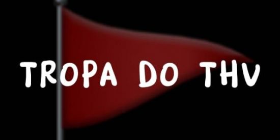 Imagem do grupo de WhatsApp TROPA DO THV 🚩
