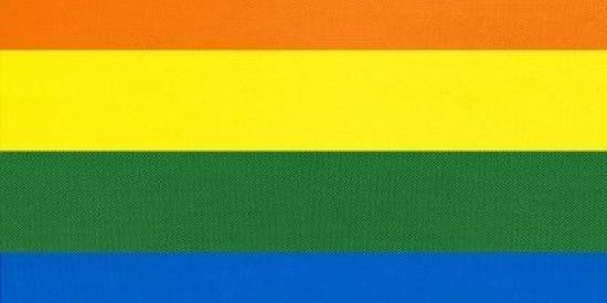 Imagem do grupo de WhatsApp 𝘉𝘳𝘢𝘴𝘪𝘭𝘪𝘢 𝘓𝘎𝘉𝘛𝘘𝘐𝘈+🏳️‍🌈