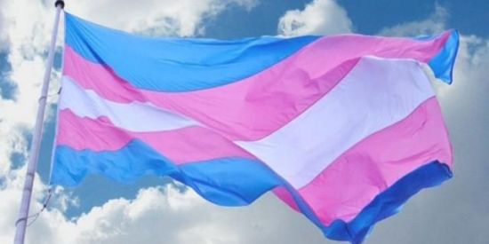 Imagem do grupo de WhatsApp Vivência Trans🏳‍⚧