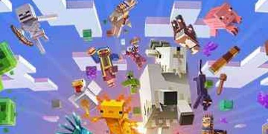 Imagem do grupo de WhatsApp Manicraft