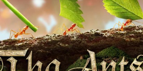 Imagem do grupo de WhatsApp The ants BR