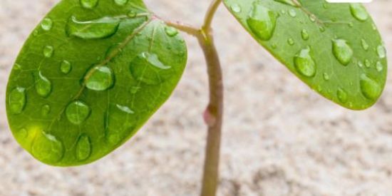 Imagem do grupo de WhatsApp Você tem ansiedade assim?