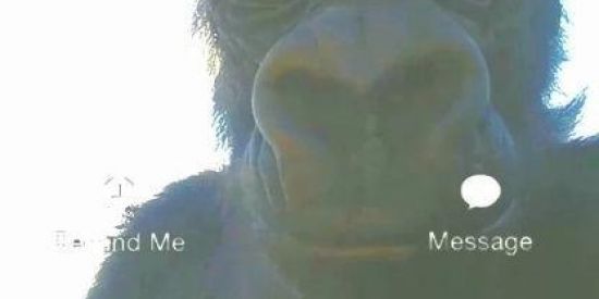 Imagem do grupo de WhatsApp Pablo