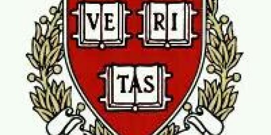 Imagem do grupo de WhatsApp 《Fraternidade BeeTah OFG》