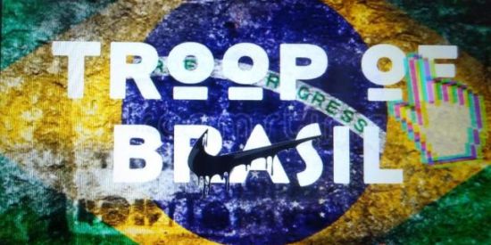 Imagem do grupo de WhatsApp 𝑻𝑹𝑶𝑷 𝑂𝐹 𝑩𝑹𝑨𝑺𝑰𝑳⁰²²|🇧🇷