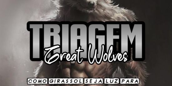 Imagem do grupo de WhatsApp 🐺TRIAGEM GREAT WOLVES🐺