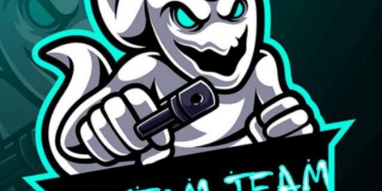 Imagem do grupo de WhatsApp PHANTOM TEAM