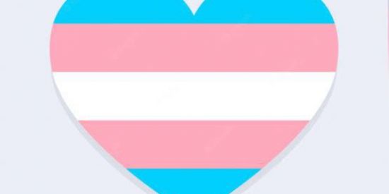 Imagem do grupo de WhatsApp Grupo trans