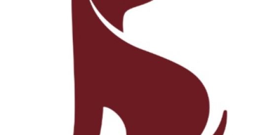 Imagem do grupo de WhatsApp BOM PRO CÃO