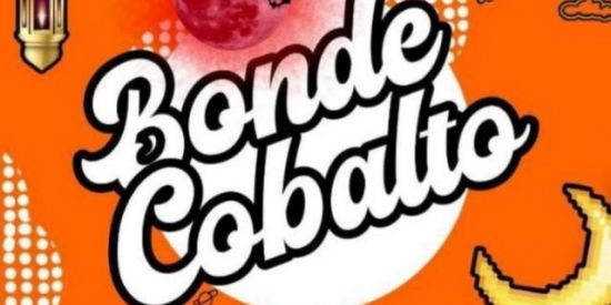 Imagem do grupo de WhatsApp 🦊●Recrutando Cobalto●🦊