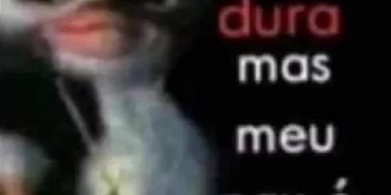 Imagem do grupo de WhatsApp ZUERA SEM LIMITE💥