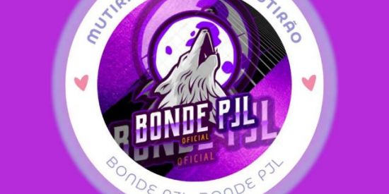 Imagem do grupo de WhatsApp 📌GANHE SEGUIDORES📌