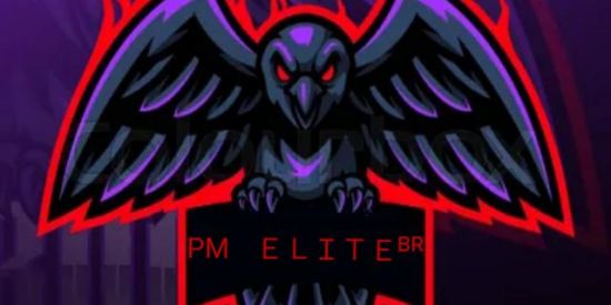 Imagem do grupo de WhatsApp PM.ㅤＥＬＩＴＥᴮᴿ