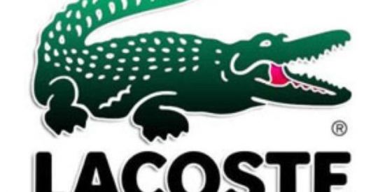 Imagem do grupo de WhatsApp Recrutamento Lacoste