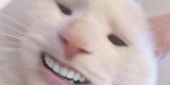 Imagem do grupo de WhatsApp ✌🏽✌🏽🤩