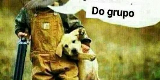 Imagem do grupo de WhatsApp Informações da Rotina