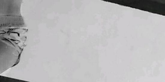 Imagem do grupo de WhatsApp Chat do Black e da Manu