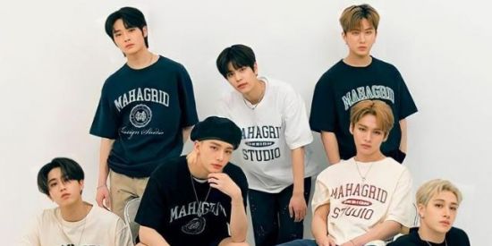 Imagem do grupo de WhatsApp STRAYKIDS X STAYS ✨💜