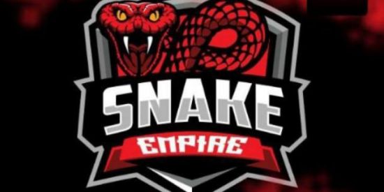 Imagem do grupo de WhatsApp 🐍TRIAGEM |•| รυɓ³ รηαkє🐍