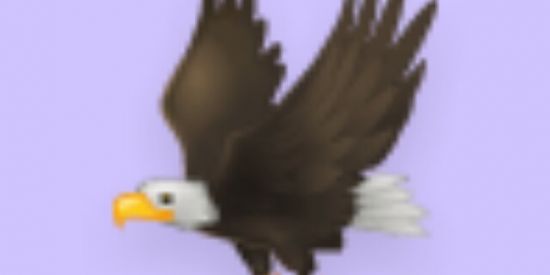 Imagem do grupo de WhatsApp OPP