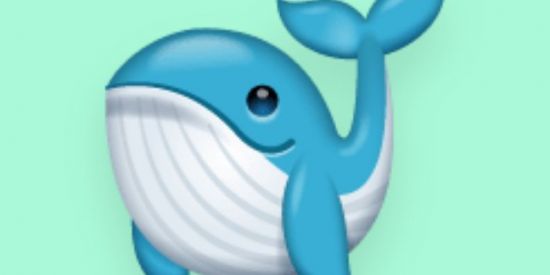 Imagem do grupo de WhatsApp GRUPO OFICIAL NA DESCRIÇÃ