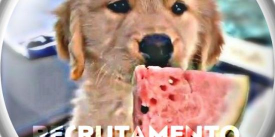 Imagem do grupo de WhatsApp ʀᴇᴄʀᴜᴛᴀᴍᴇɴᴛᴏ🧬