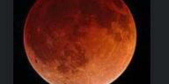 Imagem do grupo de WhatsApp Rpg Lua de sangue