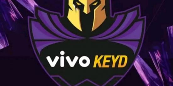 Imagem do grupo de WhatsApp VIVO KEYDE ELITE
