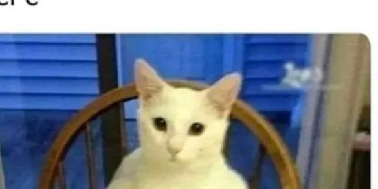 Imagem do grupo de WhatsApp Web namoro ou amizade