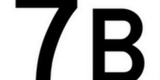 Imagem do grupo de WhatsApp Os melhores do 7 ano B