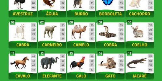 Imagem do grupo de WhatsApp 🦋EXTRAÇÃO BAHIA🦋