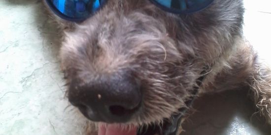 Imagem do grupo de WhatsApp 🌐 SEGUIDORES/CONTATOS🌐