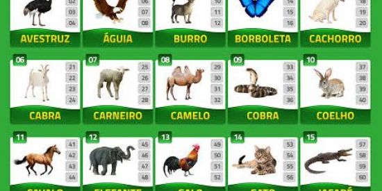 Imagem do grupo de WhatsApp 02:00 PRA 45 BAHIA