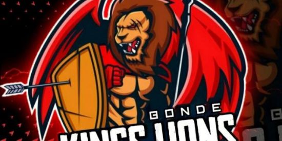 Imagem do grupo de WhatsApp 👑TRIAGEM KINGS LIONS🦁