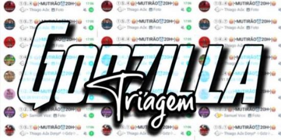 Imagem do grupo de WhatsApp Triagem Godzilla 🦍🦖